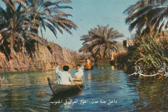صور من اهوار جنوب العراق, المشحوف العراقي في الجنوب